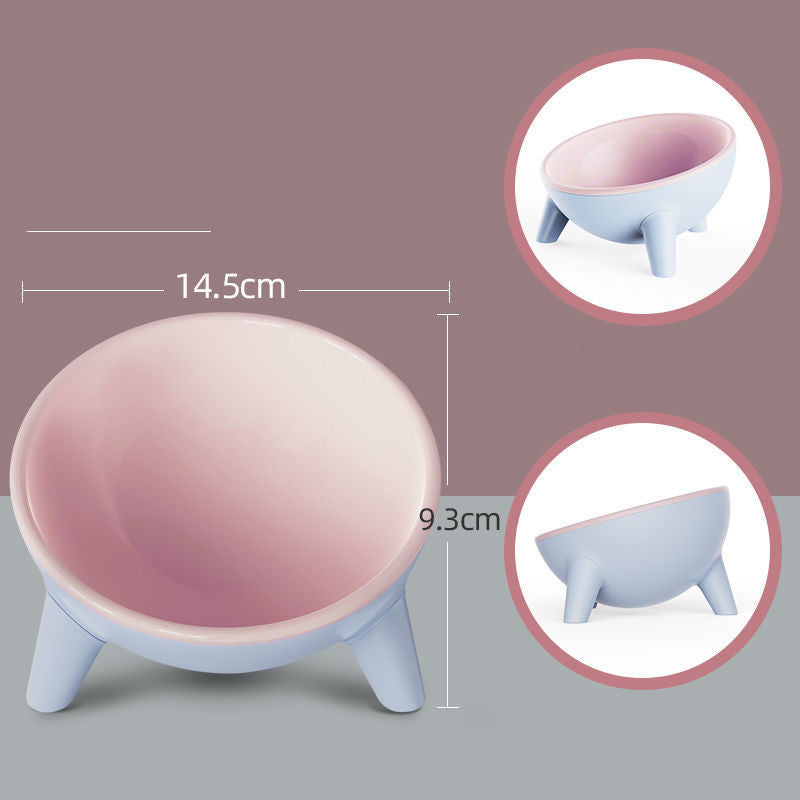 Tilted Pet Feeding Bowl