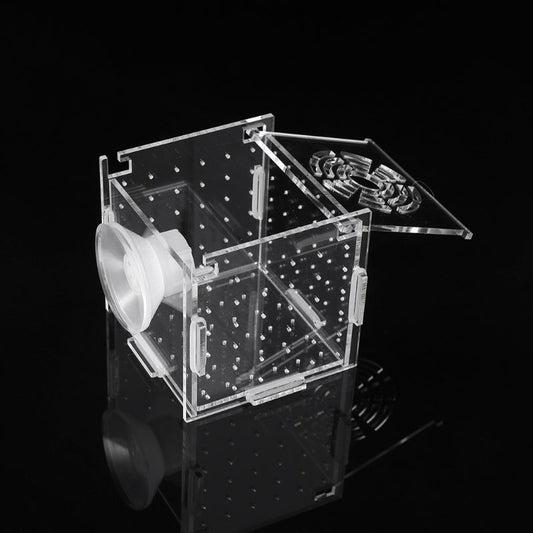 Breeding Box Fish Tank Incubator β Safe Fry Nursery