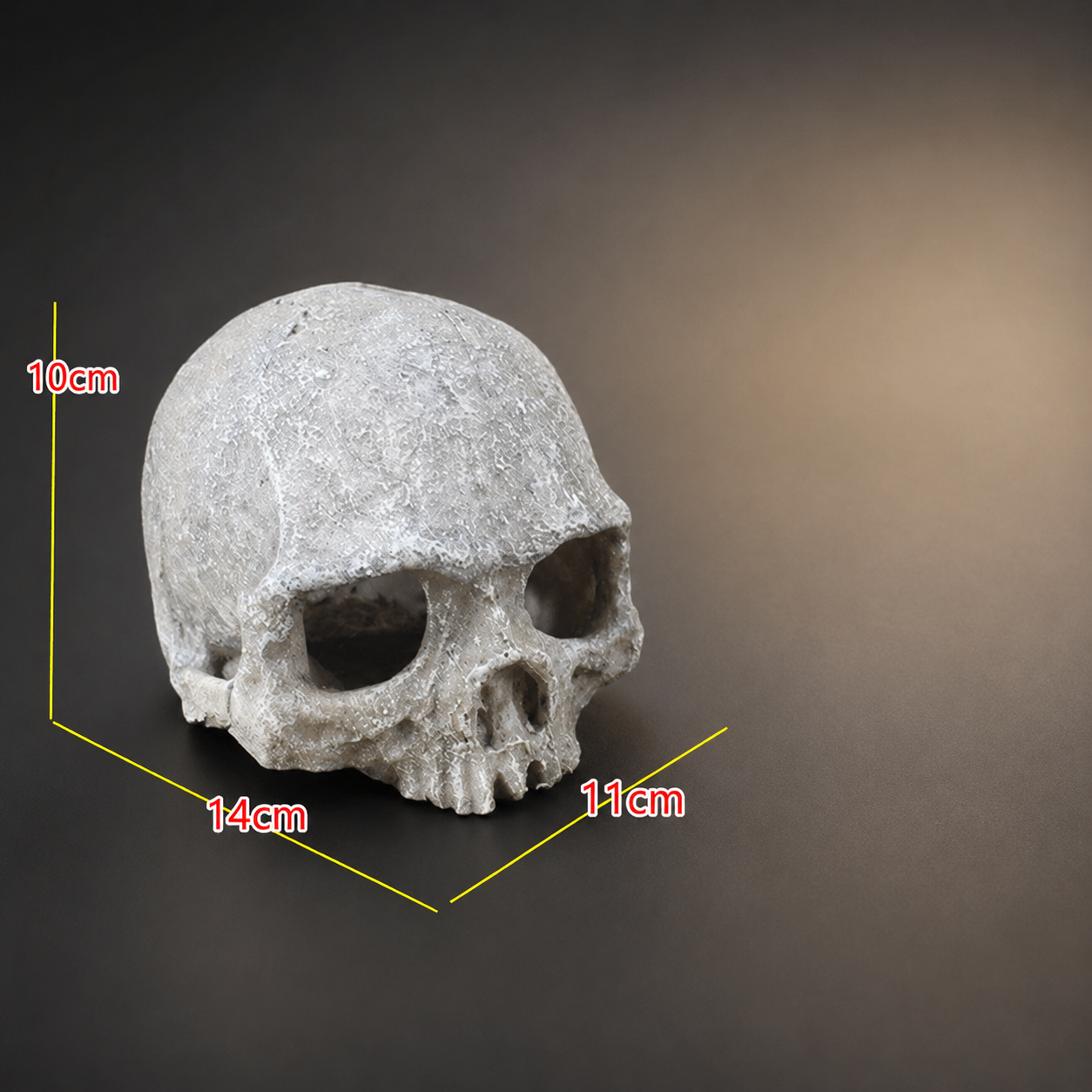 Realistic Skull Hide Aquarium & Reptile Tank Ornament