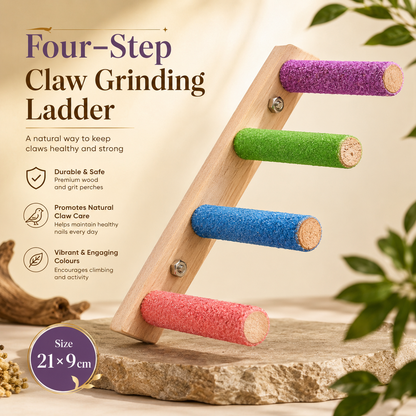Colourful Bird Climbing Ladder with Grinding Perches
