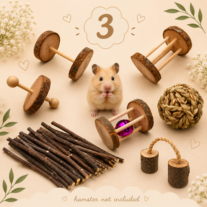 Hamster Playtime Toy Set – Natural Chew Toys