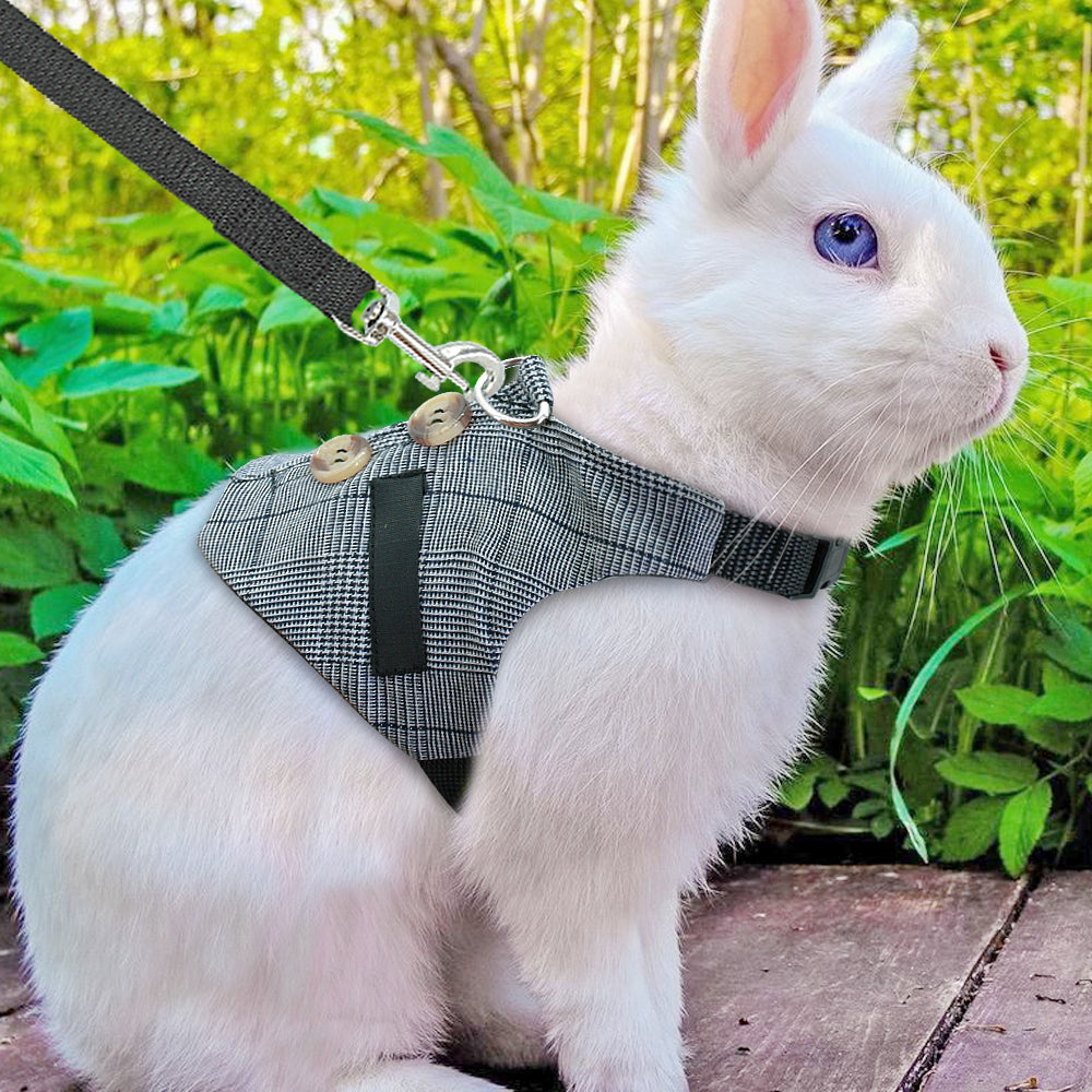 Stylish Rabbit Harness & Leash Set