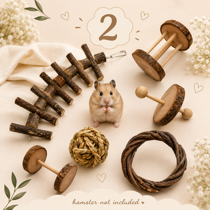 Hamster Playtime Toy Set – Natural Chew Toys