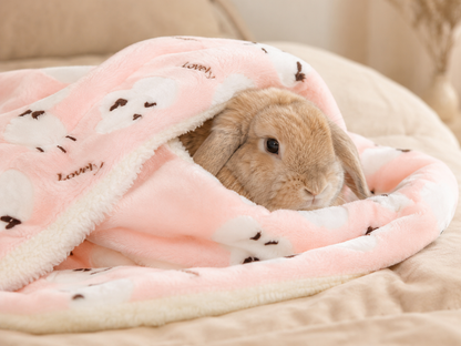 Soft Fleece Small Pet Cosy Mat – 61 × 41cm