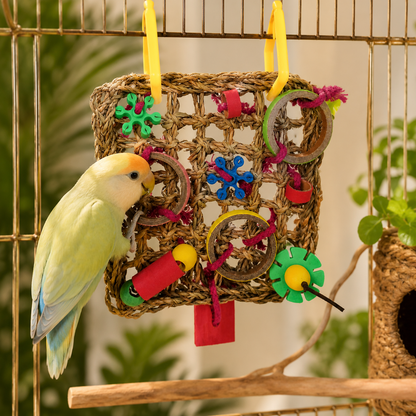Colourful Parrot Chew Activity Mat Toy