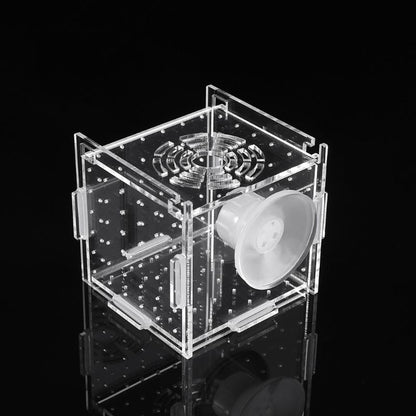 Breeding Box Fish Tank Incubator – Safe Fry Nursery