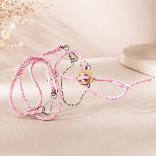 Small Pet Harness & Leash Set