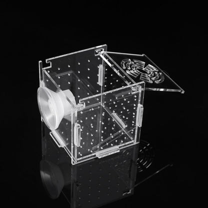Breeding Box Fish Tank Incubator – Safe Fry Nursery