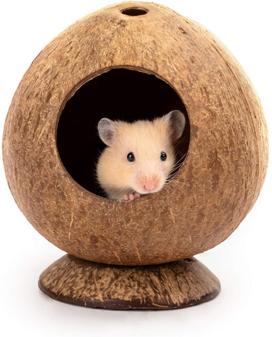 Natural Coconut Shell Pet Pod with Base