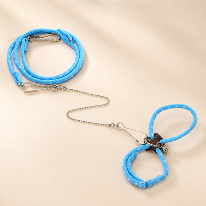 Small Pet Harness & Leash Set