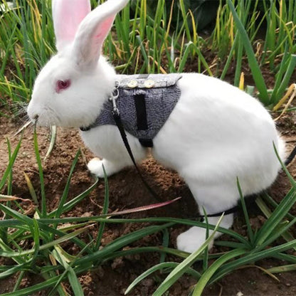 Stylish Rabbit Harness & Leash Set