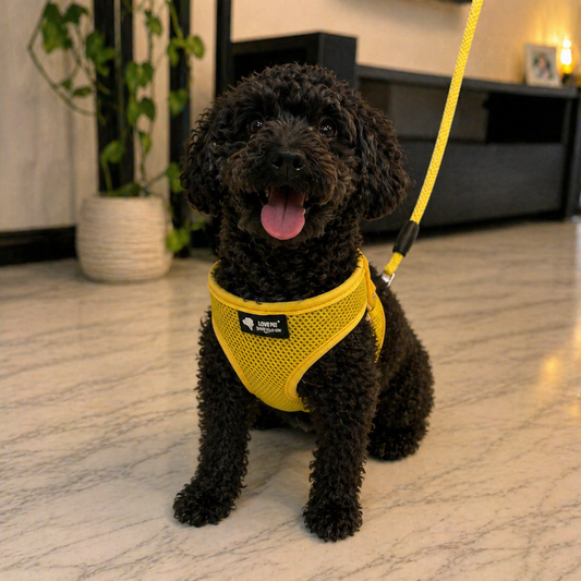 SnuggleFit Mesh Harness & Leash Set (Small Dogs)