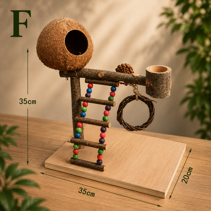 Natural Wood Bird Stand – Parrot Perch Playground (A–F Styles)