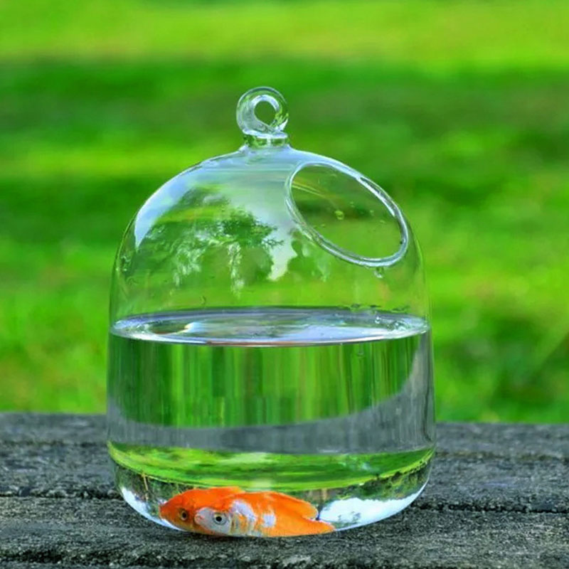 Luxurious Hanging Glass Fish Bowl – Handcrafted Borosilicate Ornament