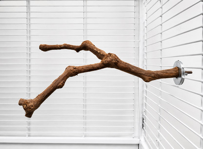Natural Branch Bird Cage Perch