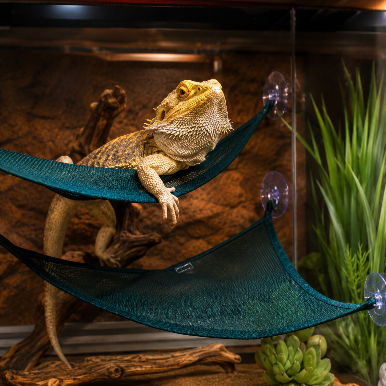 Reptile Corner Hammock Mesh Lounger