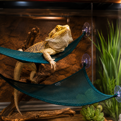 Reptile Corner Hammock Mesh Lounger