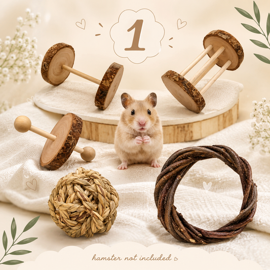 Hamster Playtime Toy Set – Natural Chew Toys