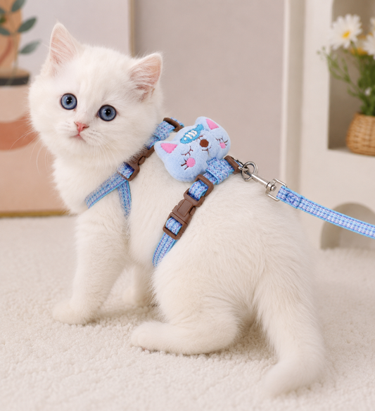 Cute Soft Cat Harness & Leash Set for Adventures