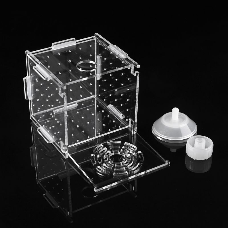 Breeding Box Fish Tank Incubator – Safe Fry Nursery
