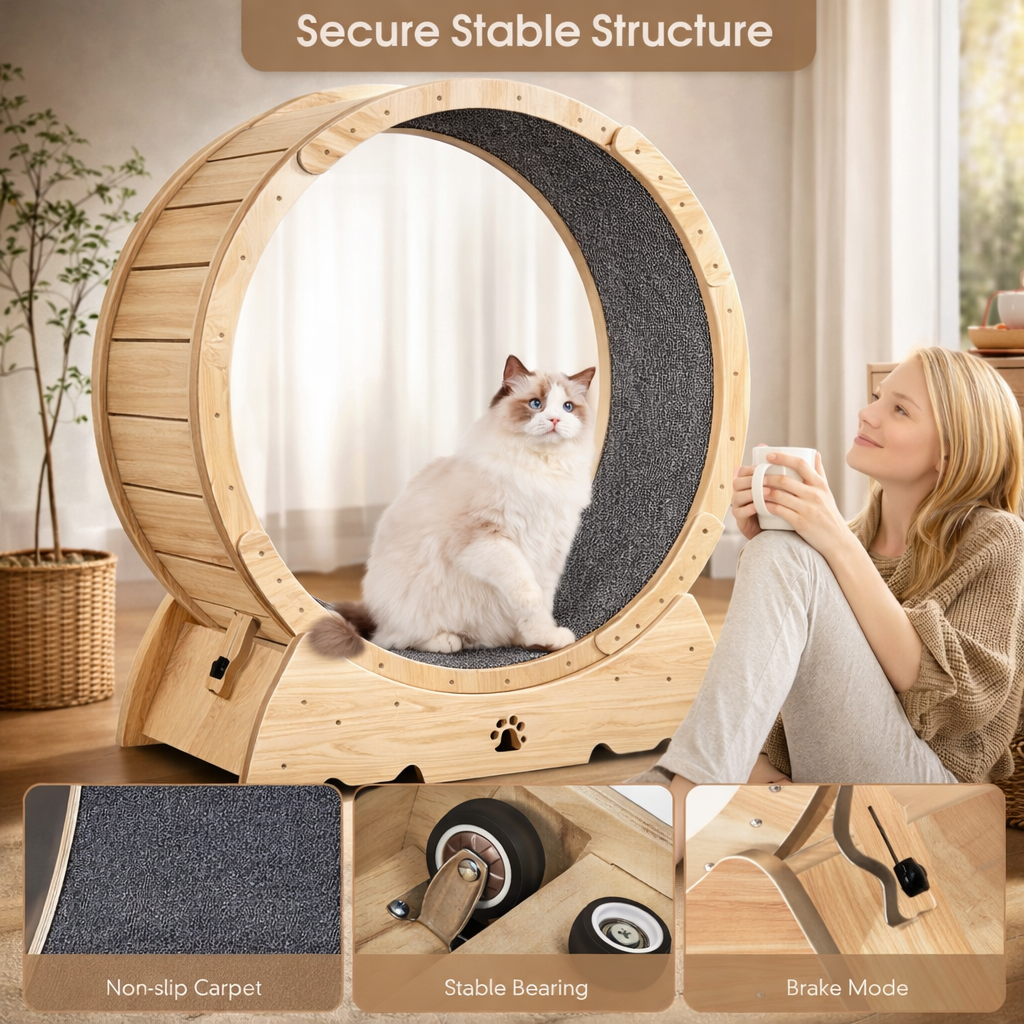 Cat Exercise Wheel – Silent Running Wheel for Cats, Bunnies & Small Dogs