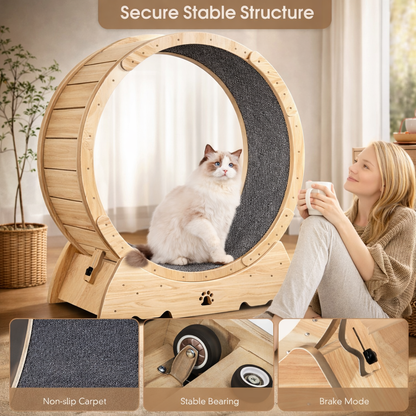 Cat Exercise Wheel – Silent Running Wheel for Cats, Bunnies & Small Dogs