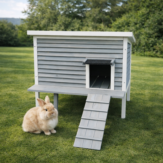 Outdoor Rabbit Hutch with Ramp / Bunny Bungalow
