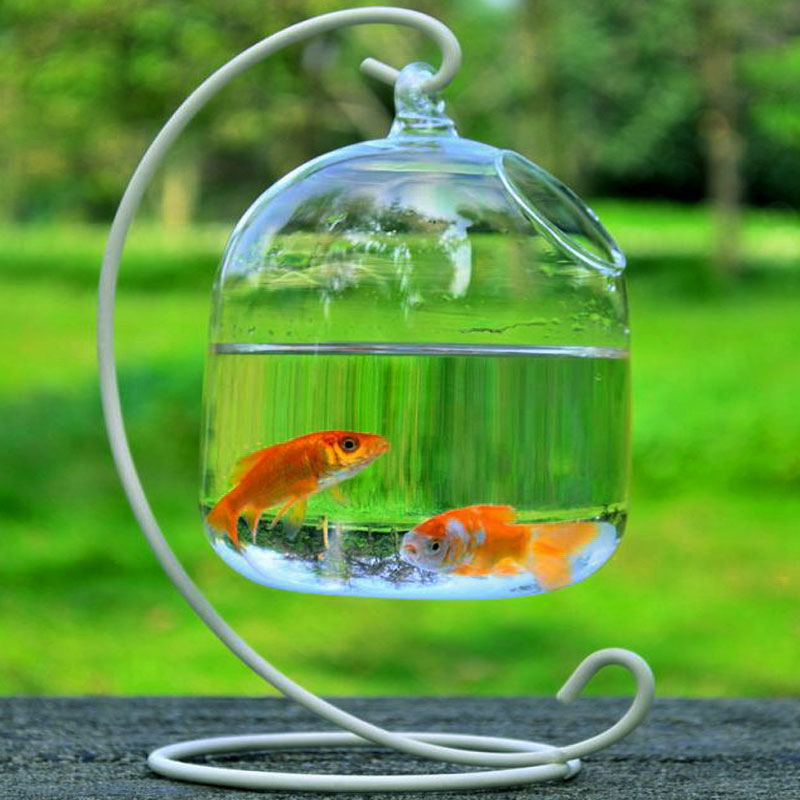 Luxurious Hanging Glass Fish Bowl – Handcrafted Borosilicate Ornament
