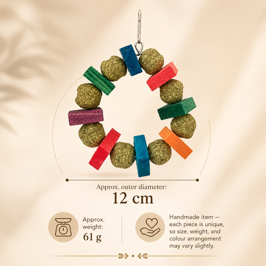 Small Pet Hanging Chew Ring Toy
