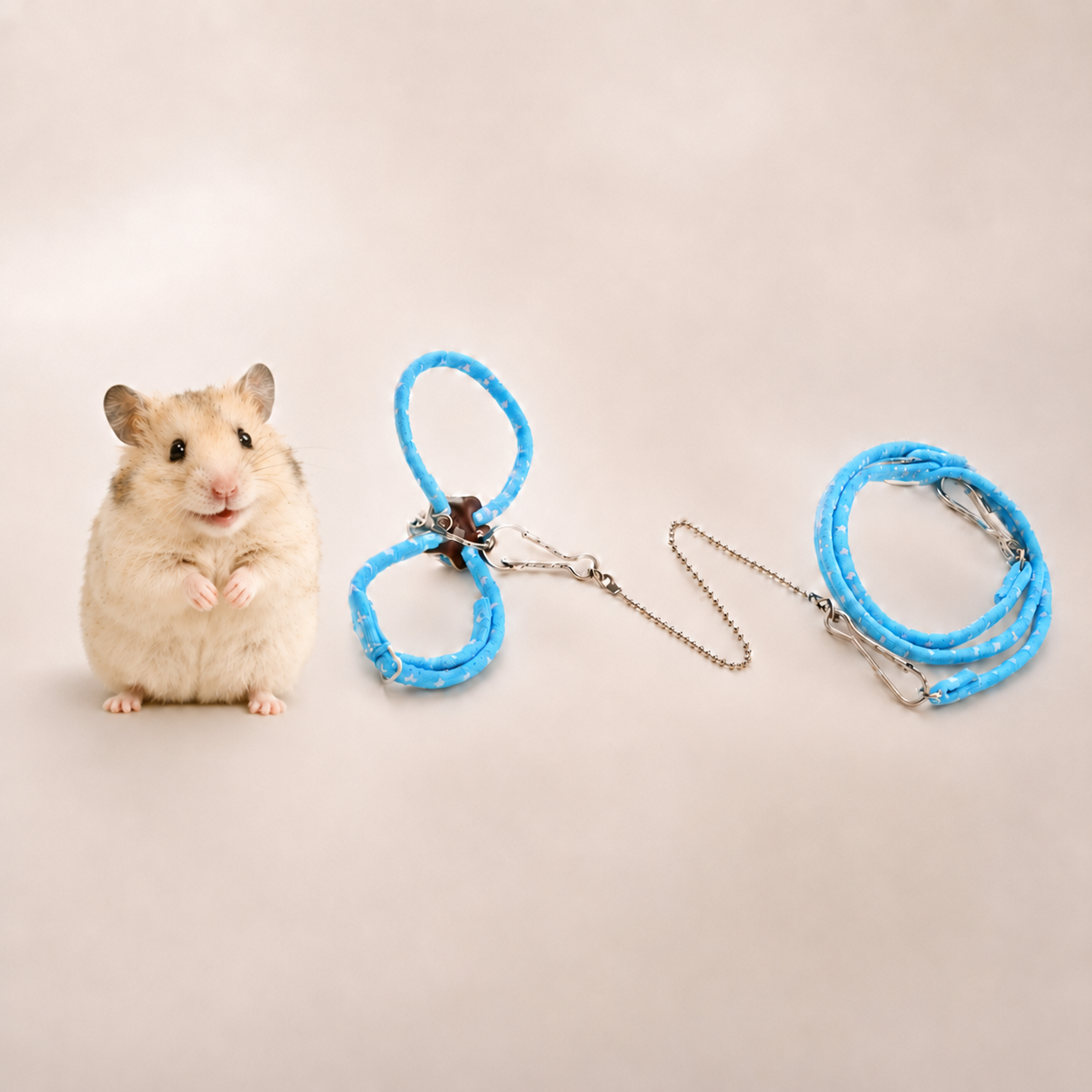 Small Pet Harness & Leash Set