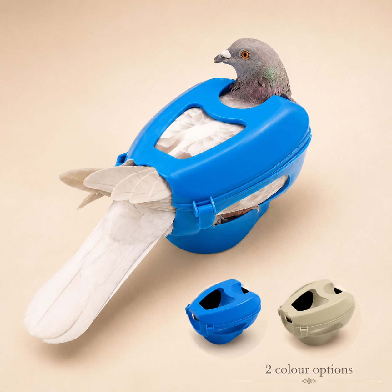 Pigeon Handling & Care Holder