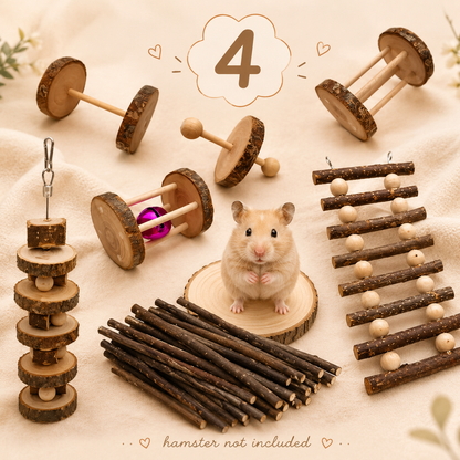 Hamster Playtime Toy Set – Natural Chew Toys