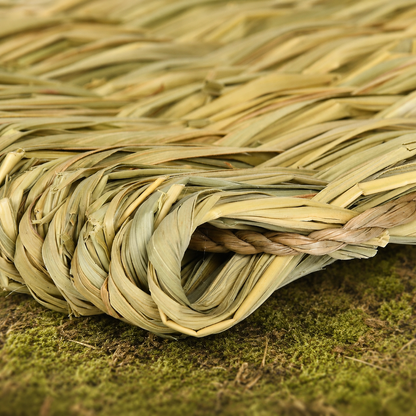 Natural Grass Enrichment Set for Rabbits, Guinea Pigs, Hamsters & Chinchillas
