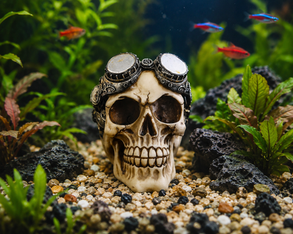 Punk Rock Skull Aquarium & Reptile Tank Décor
