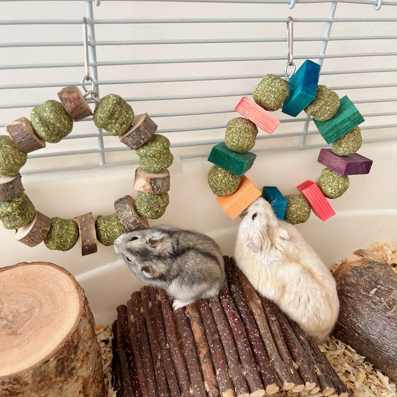 Small Pet Hanging Chew Ring Toy