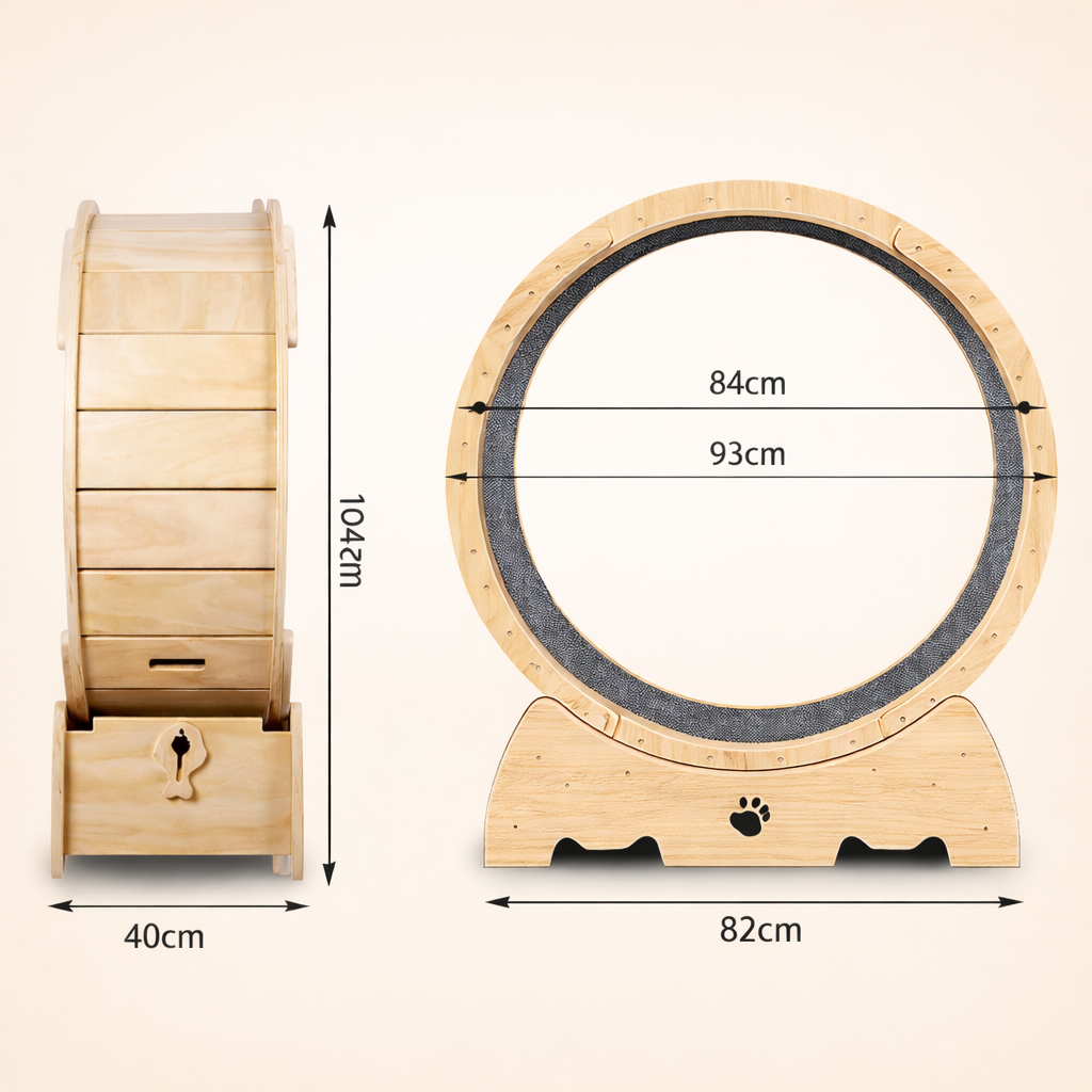 Cat Exercise Wheel – Silent Running Wheel for Cats, Bunnies & Small Dogs