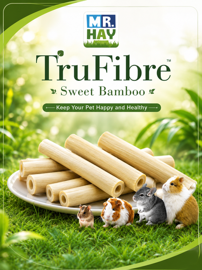 Natural Bamboo Chew Sticks For Guinea Pigs
