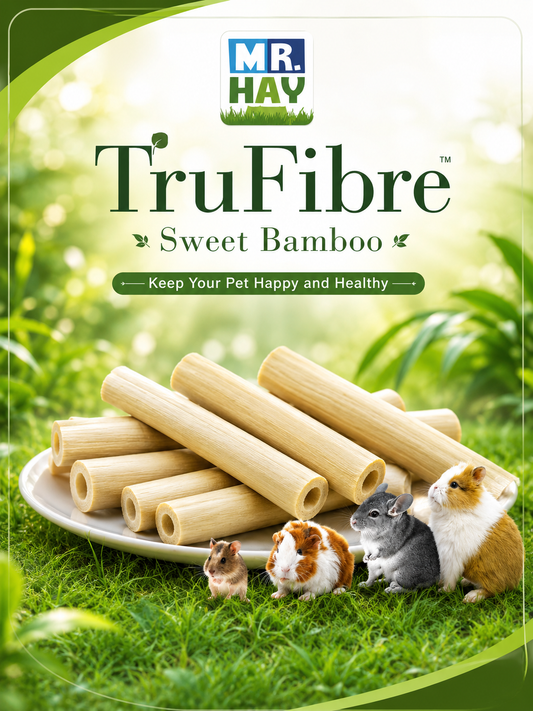 Natural Bamboo Chew Sticks For Guinea Pigs