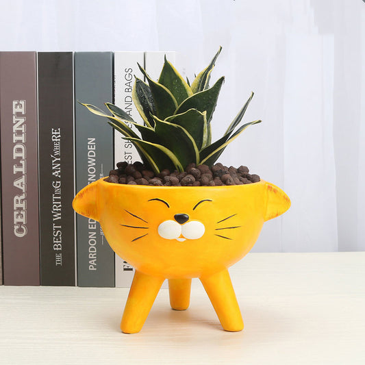Cute Ceramic Desktop Flowerpot