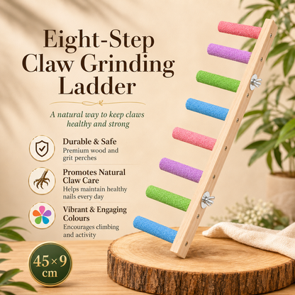 Colourful Bird Climbing Ladder with Grinding Perches