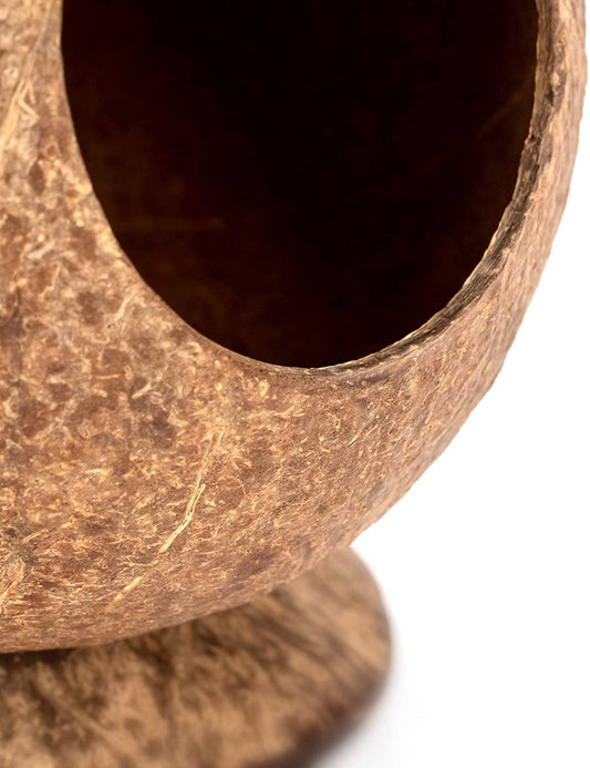 Natural Coconut Shell Pet Pod with Base