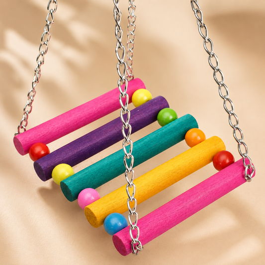 Colourful Bird Swing Perch