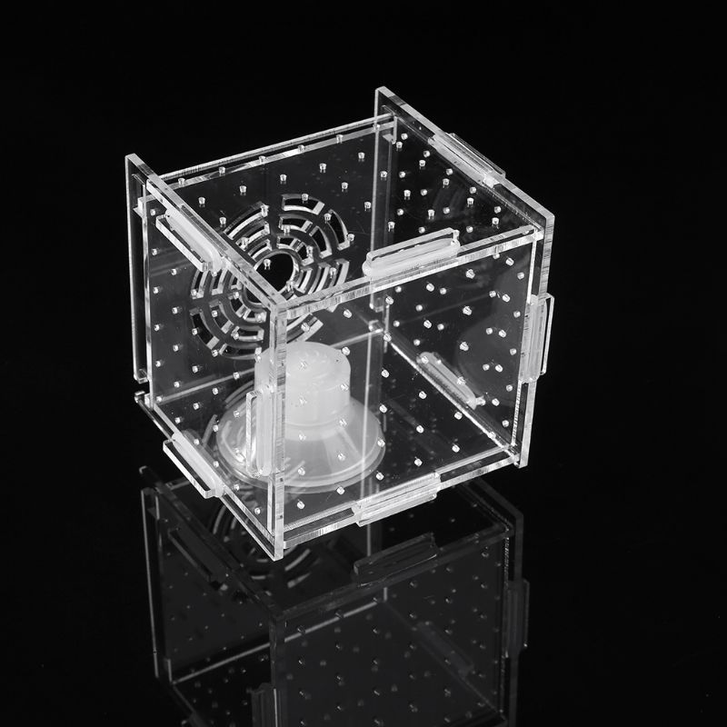 Breeding Box Fish Tank Incubator – Safe Fry Nursery