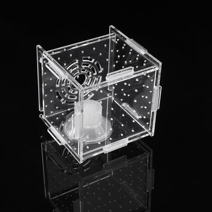 Breeding Box Fish Tank Incubator – Safe Fry Nursery