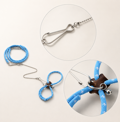 Small Pet Harness & Leash Set