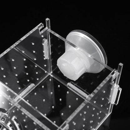 Breeding Box Fish Tank Incubator – Safe Fry Nursery