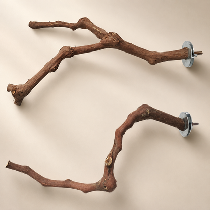 Natural Branch Bird Cage Perch