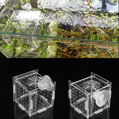 Breeding Box Fish Tank Incubator – Safe Fry Nursery