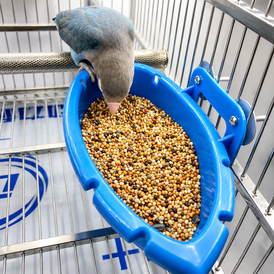 Birdie Splash & Snack Tray with Play Balls