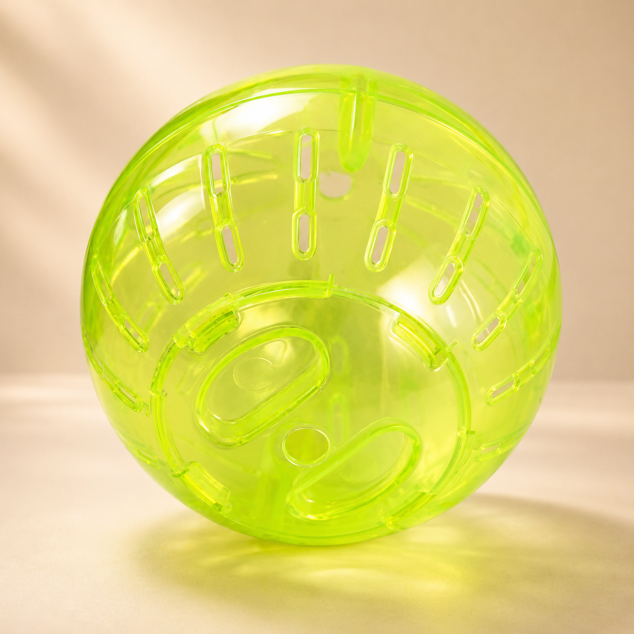 Hamster Zoom Ball